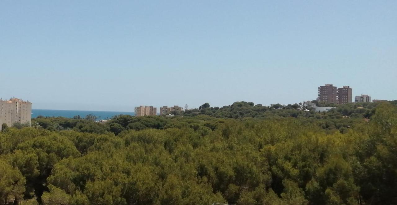 Campoamor Seaview Ngoại thất bức ảnh