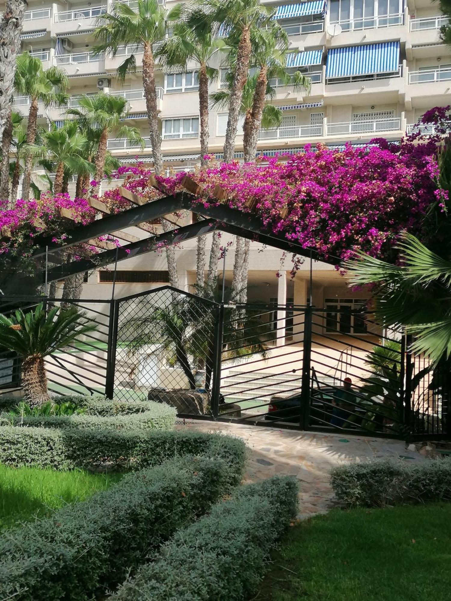 Campoamor Seaview Ngoại thất bức ảnh